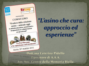 L`asino che cura: approccio ed esperienze