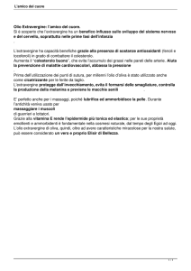 L`amico del cuore - Museo Agorà Orsi Coppini