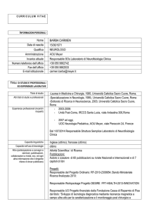curriculum vitae