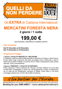 mercatini nella foresta nera
