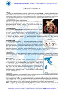 scarica scheda informativa - Ambulatorio Veterinario Trionfo