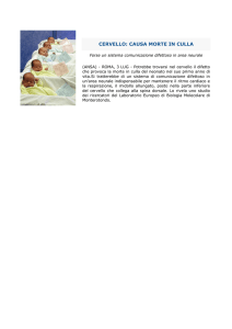 cervello: causa morte in culla