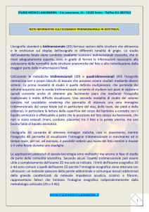 ecografie pelviche, transvaginali, ostetriche 3D