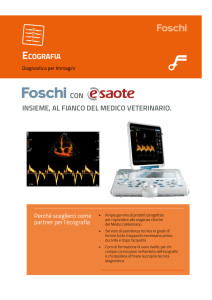 Ecografia - Giulius Pet Shop
