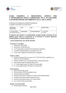 CAPITOLATO SPECIALE PRESTAZIONALE