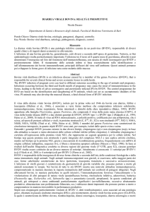 DIARREA VIRALE BOVINA: REALTÀ E PROSPETTIVE Nicola