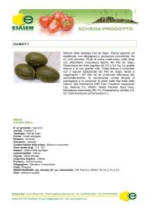 Cordial F.1