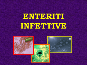 Gastroenteriti da Salmonella spp