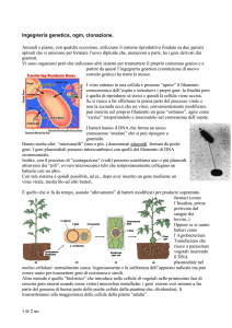 Ingegneria genetica, ogm, clonazione.
