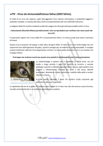 FIV - Virus da immunodeficienza felina (AIDS felino).