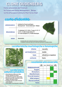 CLONE OUDENBERG carta d`identità