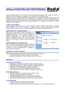 RADIX Reload Professional