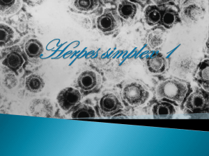 Herpes simplex 1
