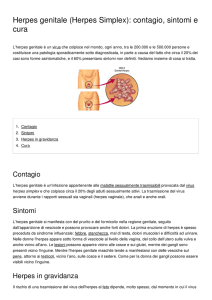 Herpes genitale (Herpes Simplex): contagio, sintomi e cura