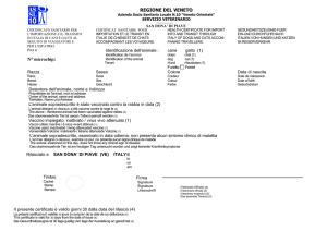 certificato sanitario internazionale