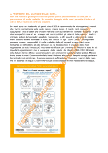 A proposito del lavaggio delle mani
