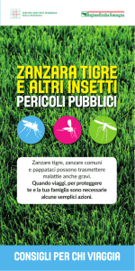Consigli per chi viaggia