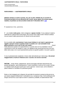gastroenterite virale - parvovirosi