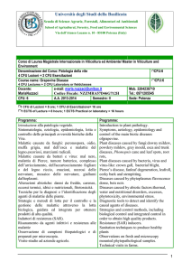 Facoltà di Lettere e Filosofia - Università degli Studi della Basilicata