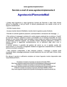 Visualizza il documento in formato stampabile