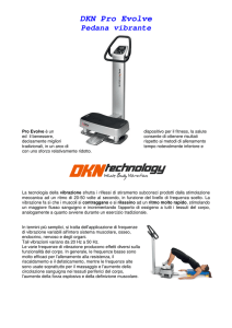 DKN Pro Evolve Pedana vibrante - NT