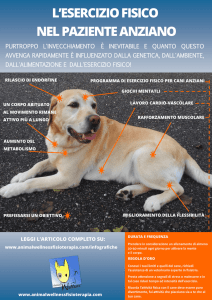 l`esercizio fisico nel paziente anziano