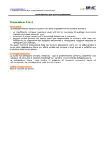Stabulazione libera
