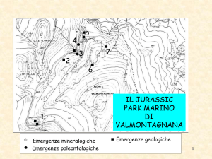 il jurassic park marino di m. valmontagnana 2012