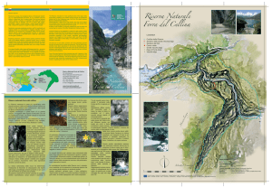 Riserva Naturale Forra del Cellina