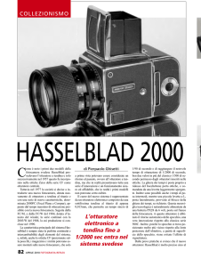 Leggi l`articolo intero in pdf