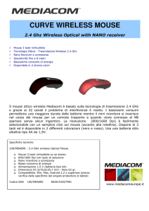 CURVE WIRELESS MOUSE