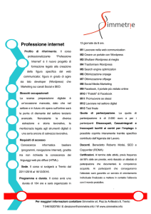 Professione internet