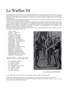 Le Waffen SS