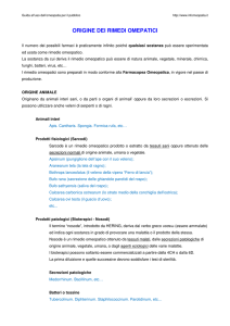 4_origine dei rimedi omeopatici