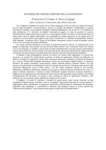 DATABASE DEL SISTEMA NERVOSO DELLA SANGUISUGA R