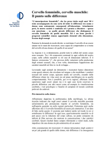 Cervello femminile, cervello maschile: Il punto sulle differenze
