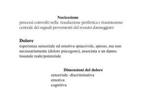 Dolore - Fisiokinesiterapia