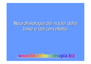 Neurofisiologia dei nuclei della base e del