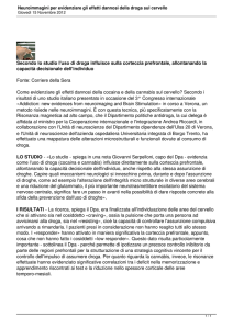 Neuroimmagini per evidenziare gli effetti dannosi