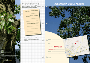 all`ombra degli alberi - Provincia di Pordenone