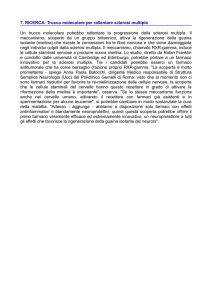 7. RICERCA: Trucco molecolare per rallentare sclerosi multipla Un