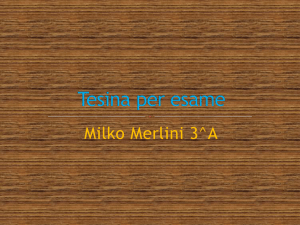 PPT-Milko - "G. Segantini" Asso