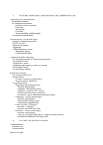 I. ANATOMIA E ORGANIZZAZIONE GENERALE DEL SISTEMA