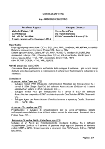 CURRICULUM VITAE ing. AMOROSO CELESTINO