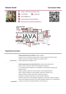 Roberto Girelli Curriculum Vitae