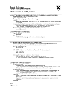 Scheda di sicurezza FEROX CONVERTIRUGGINE