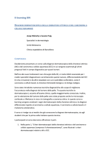 Abstract - dermoscopy-ids