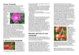 Un po` di storia L`olio di rosa mosqueta Benefici dell`olio