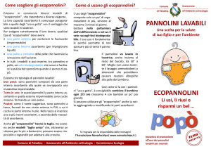 pannolini lavabili - Comune di Paladina