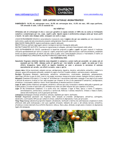 Per di qua, per avere maggiori dettagli